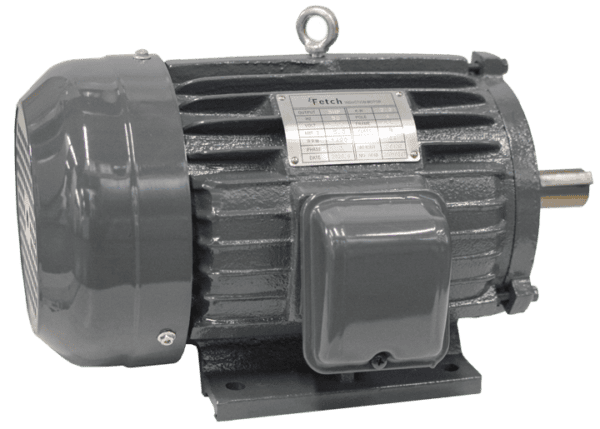 ELECTRO MOTOR FETCH 3 HP